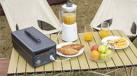 Should you use a portable power station to cook while camping?