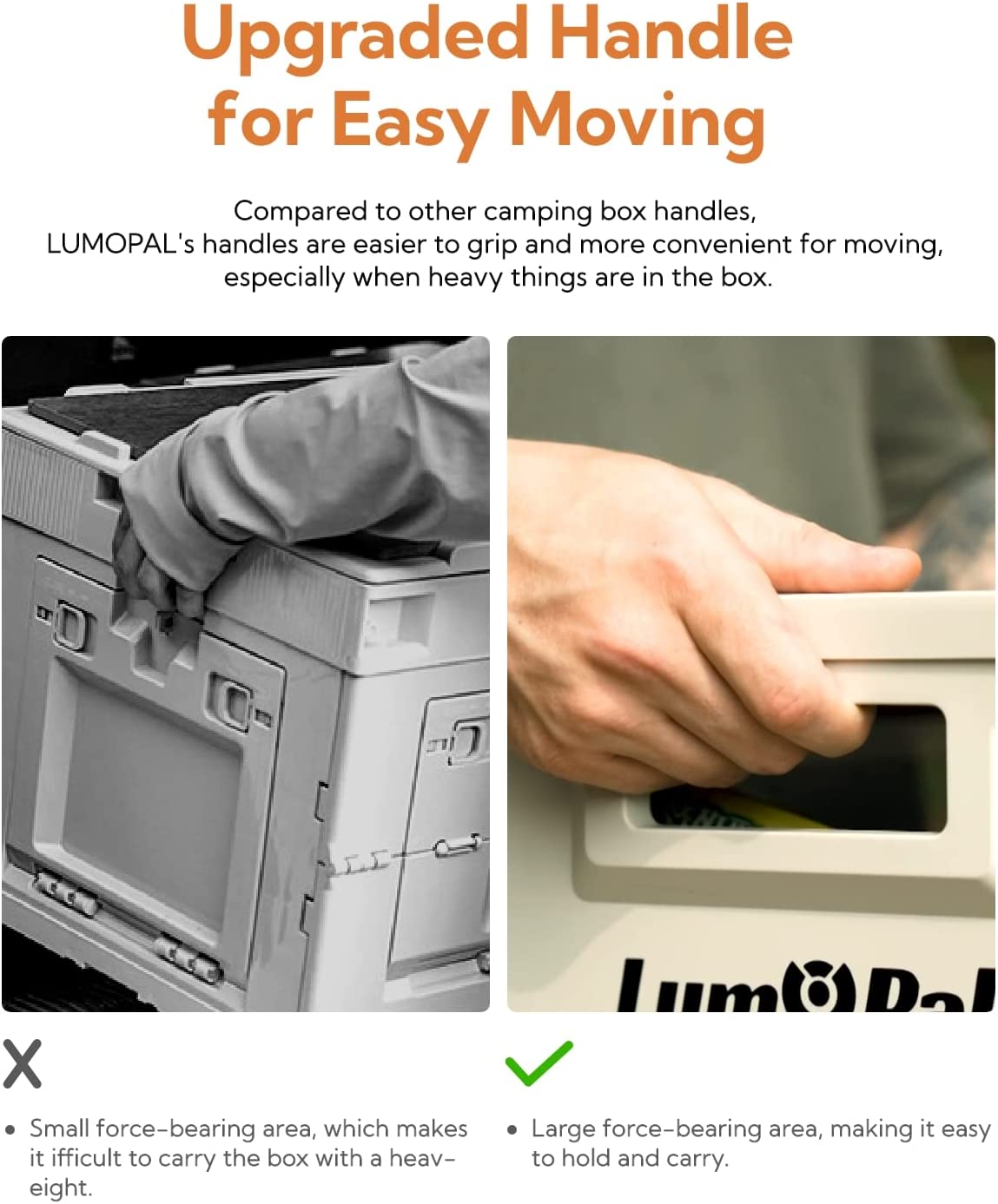 Lum box  47qt Storage Box